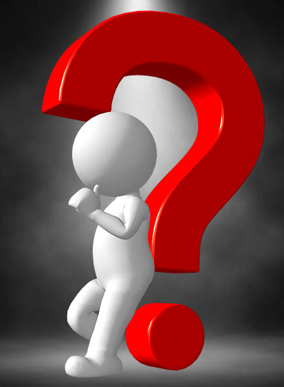 Shenelle Business Solutions