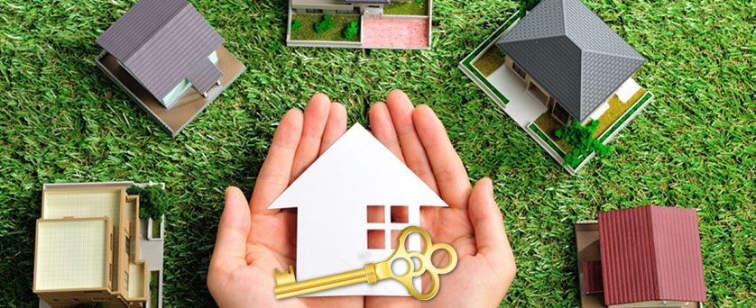 Shenelle Business Solutions